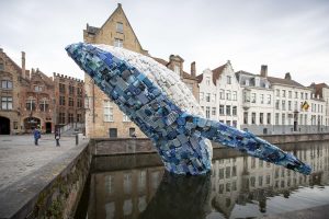 artivisme environnement pollution plastique baleine bruges