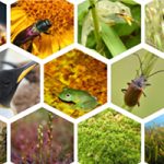 chiffres-biodiversite-france