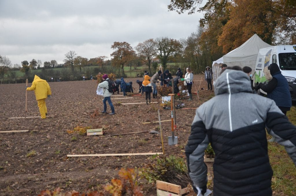 minco plantation forêt collaborateurs