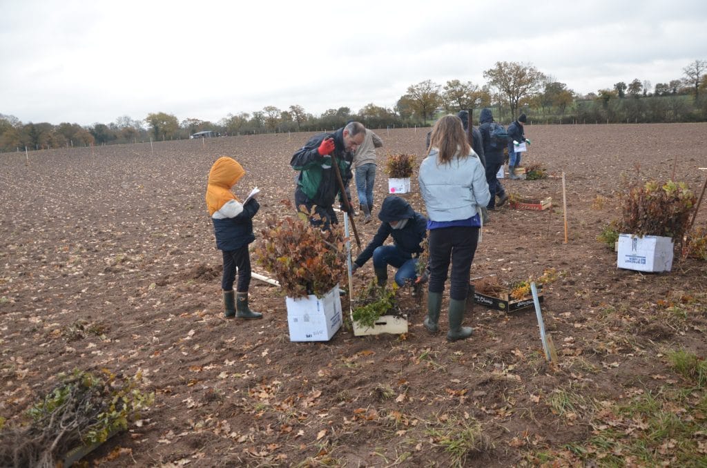 minco plantation forêt collaborateurs