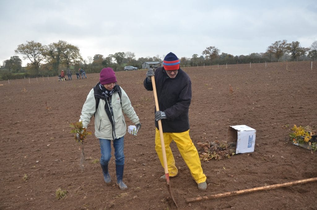 minco plantation forêt collaborateurs