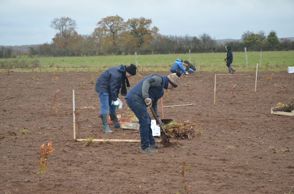 minco plantation forêt collaborateurs