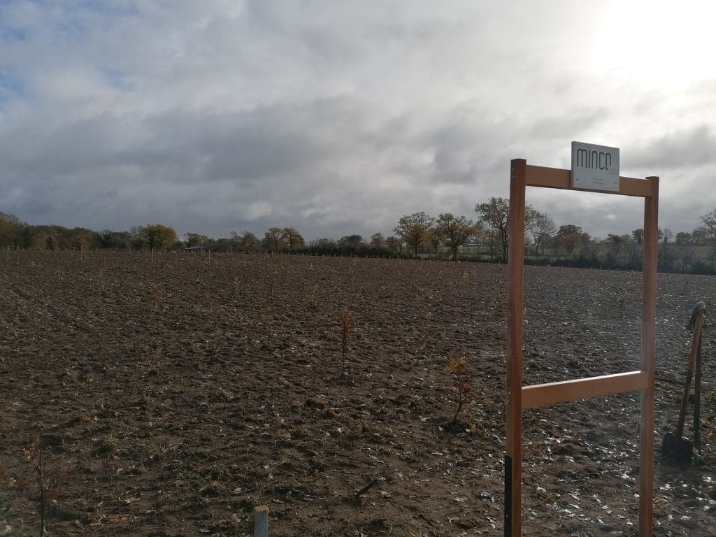 minco plantation forêt terrain