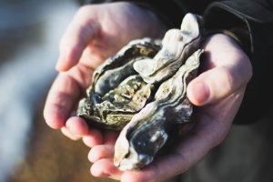 huitre-coquillage