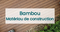 bambou-materiau-construction