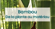 bambou plante matériau minco