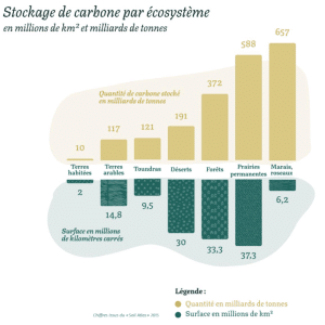 roseau matériau de construction biosourcé - stockage carbone