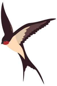biodiversite-menaces-oiseau-migrateur