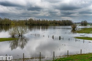 biodiversite-role-eau-prairie-inondable