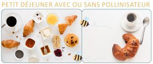 biodiversite-role-pollinisateur