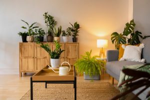 ambiance-fraicheur-plantes
